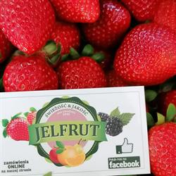 Jelfrut. Hurtownia Warzyw i Owoców, Jelenia Góra godziny otwarcia