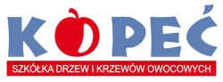 Szkółka Drzew i Krzewów Owocowych Kopeć, Bestwina godziny otwarcia