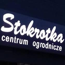 Stokrotka. Wszystkie prawa zastrzeżone. Stworzone przez zespół stworzw, Starogard Gdański godziny otwarcia