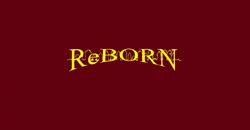 REBORN - Nieruchomości i Budownictwo sp. z o. o., Sanok godziny otwarcia