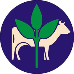 Rolmex Gościniak - Hurtownia Materiałów Budowlanych, Nawozy, Opał, Jarocin godziny otwarcia