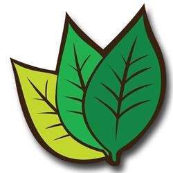 Odelga. Tartak. Odelga E., Prószków godziny otwarcia