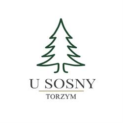 Zajazd u Sosny, Torzym godziny otwarcia