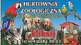 Zoo-Hurt Kielce, Włoszczowa godziny otwarcia