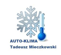Auto Klimatyzacja Tadeusz Mieczkowski, Wałbrzych godziny otwarcia