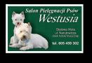 Salon Pielęgnacji Psów Westusia, Stalowa Wola godziny otwarcia