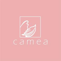 Instytut Camea, Wrocław godziny otwarcia