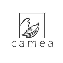 Instytut Camea, Wrocław godziny otwarcia