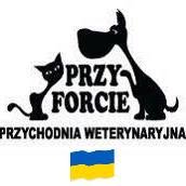 Przy Forcie, Warszawa godziny otwarcia