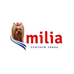Centrum Yorka "milia" We Wrocławiu, godziny otwarcia