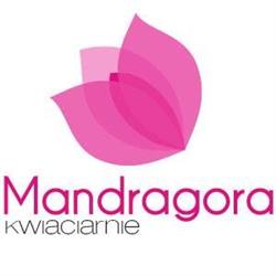 Kwiaciarnia Mandragora, Warszawa godziny otwarcia
