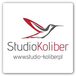 Studio Koliber, Bydgoszcz godziny otwarcia