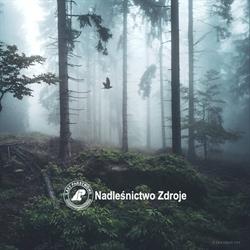 Nadleśnictwo Zdroje, Szczytna godziny otwarcia