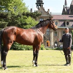Stadnina Koni Moszna Sp. z o.o., Zielina godziny otwarcia