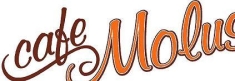 Cafe Molus Sławomir Molus, Toruń godziny otwarcia