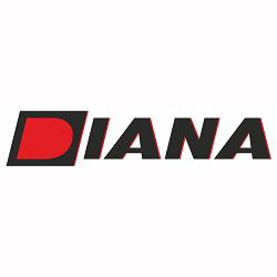 Diana - Handel Art. Przemysłowymi, Turza Śląska godziny otwarcia