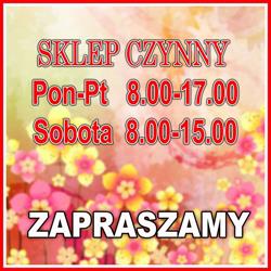 Dominika - Sklep Przemysłowy, Lidzbark Warmiński godziny otwarcia