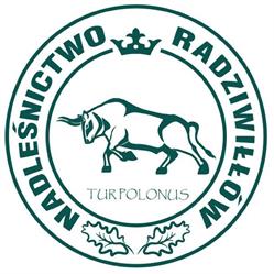Lasy Państwowe - Nadleśnictwo Radziwiłłów, Puszcza Mariańska godziny otwarcia