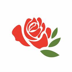 Szkółka Krzewów Ozdobnych Tomasz Konior - punkt sprzedaży, Bielsko-Biała godziny otwarcia