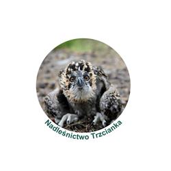 Lasy Państwowe i Nadleśnictwo, Trzcianka godziny otwarcia