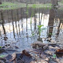 Nadleśnictwo Świdnica, godziny otwarcia