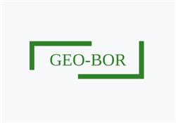 Geo-Bor. Usługi geodezyjne. Borucki R., Gdańsk godziny otwarcia
