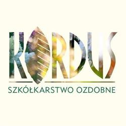 Kordus Andrzej Kordus, Wola Mrokowska godziny otwarcia