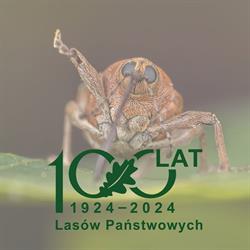 Nadleśnictwo Katowice, godziny otwarcia