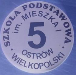 Szkoła Podstawowa Nr 5 Im. Mieszka i, Ostrów Wielkopolski godziny otwarcia
