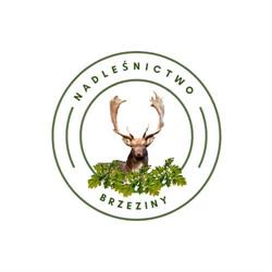 Nadleśnictwo Brzeziny, Koluszki godziny otwarcia