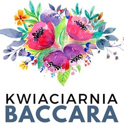 Baccara Kwiaciarnia Mirosława Kołtun, Nowa Sól godziny otwarcia