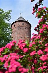 Świdwiński Ośrodek Kultury, Świdwin godziny otwarcia