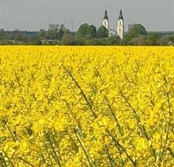 Parafia rzymskokatolicka pw. św. Wawrzyńca diakona męczennika w Borownie, Mykanów godziny otwarcia