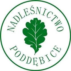 Nadleśnictwo Poddębice, Rodrysin godziny otwarcia