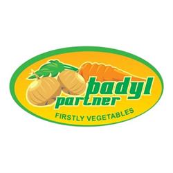 "badyl Partner" Dystrybucja Cebuli Konsumpcyjnej, Kraków godziny otwarcia