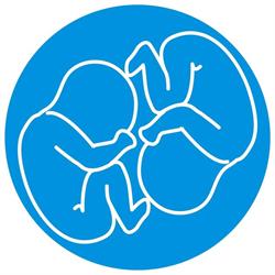 Gemelli Sp. Z O.o., Kraków godziny otwarcia