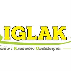 Iglak Szkółka Drzew i Krzewów Ozdobnych, Osuchów godziny otwarcia