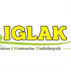 Iglak Szkółka Drzew i Krzewów Ozdobnych, Osuchów godziny otwarcia