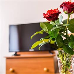 Europa Hotel, Jelenia Góra godziny otwarcia