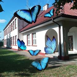 Szkoła Podstawowa W Sarbicach, Przykona godziny otwarcia