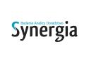 Synergia Badania Analizy Doradztwo, Gostynin godziny otwarcia