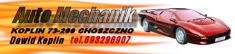 Auto Mechanika Dawid Keplin, Choszczno godziny otwarcia