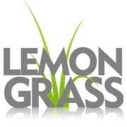 Lemongrass Studio, Sosnowiec godziny otwarcia