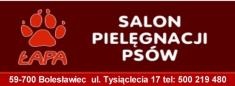 ŁAPA - salon strzyżenia psów, Bolesławiec godziny otwarcia