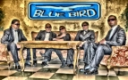 Zespół Muzyczny Blue Bird, Bydgoszcz godziny otwarcia