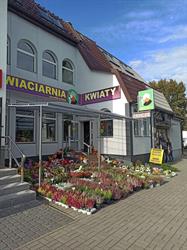 Kwiaciarnia Stokrotka, Ełk godziny otwarcia