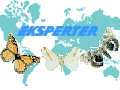 Eksperter P.p.h.u., Jarocin godziny otwarcia
