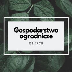 B.jach P.jach Gospodarstwo Ogrodnicze, Rzgów godziny otwarcia