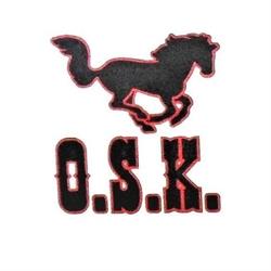 Mustang Ośrodek Szkolenia Kierowców Jerzy Mielcarek, Poznań godziny otwarcia