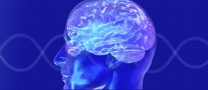 Pracownia Badań Psychologicznych Intertest Wiktor Horowski, Bełchatów godziny otwarcia